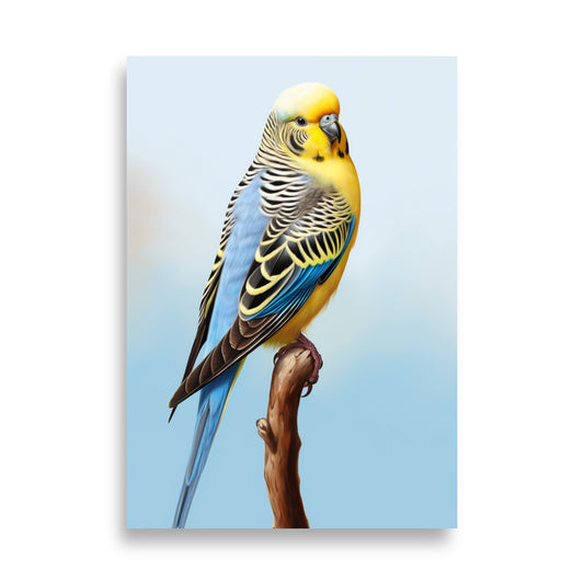 Budgie poster - Posters - EMELART