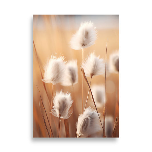 Cottongrass poster - Posters - EMELART