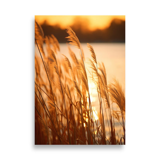 Reeds poster - Posters - EMELART