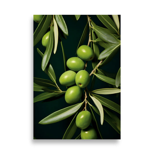 Olive poster - Posters - EMELART