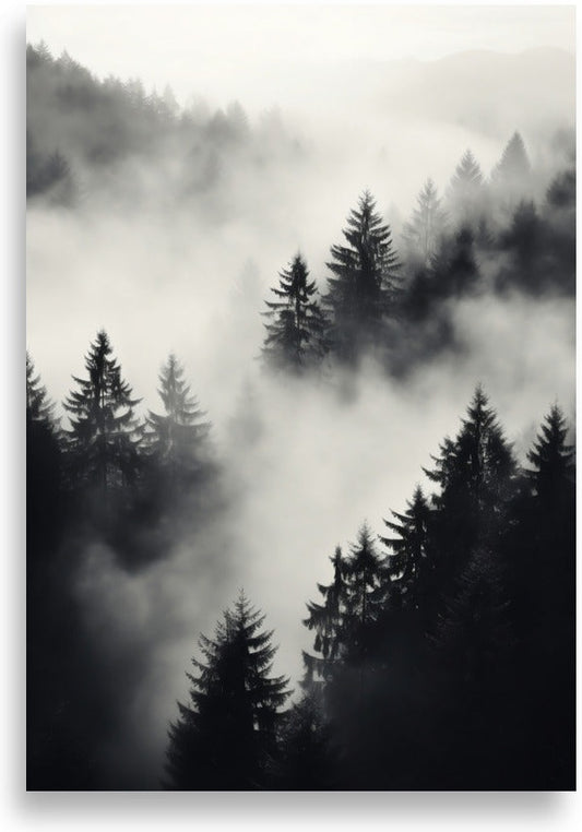Forest mist – Black and white photo