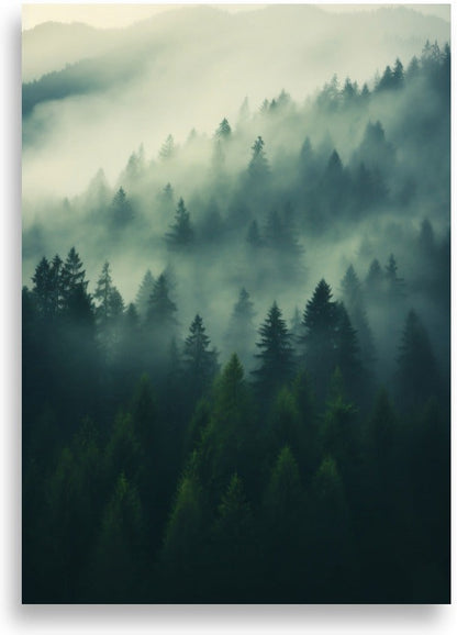 Skogsdimma – Dimmig skog i färg – poster