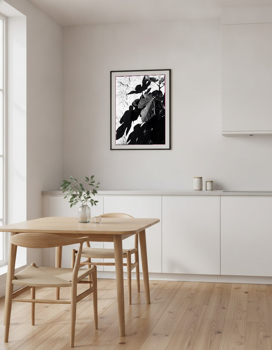 Fikonlöv – svartvitt i köket