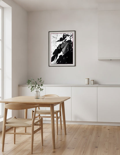 Fikonlöv – svartvitt i köket