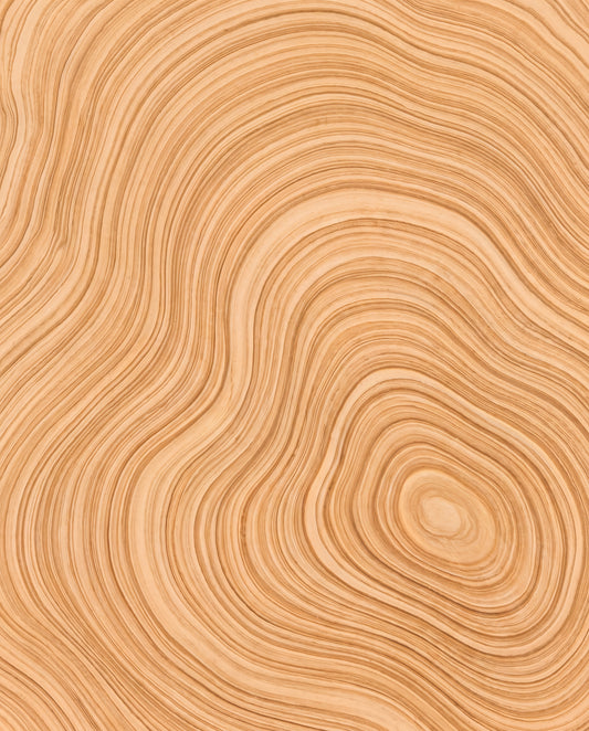 Sandvågor