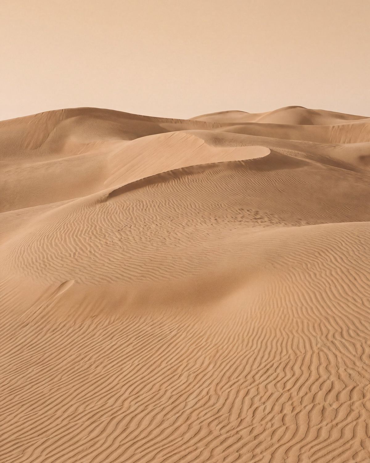 Sanddyner