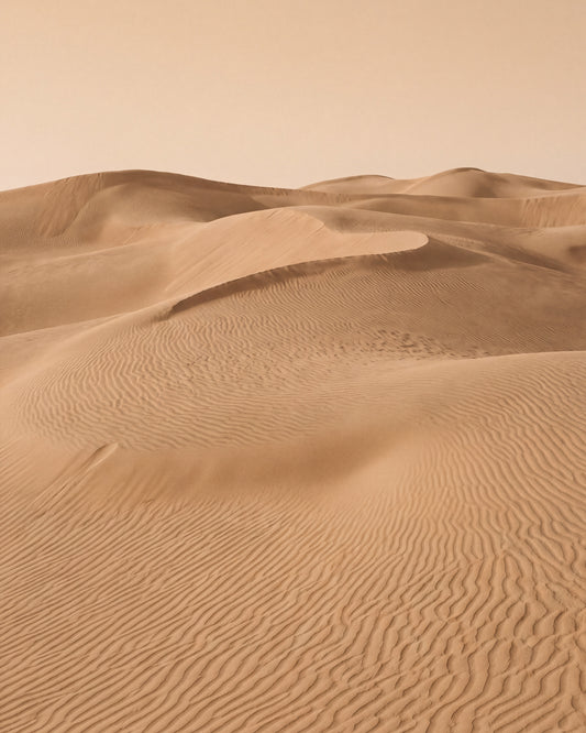 Sanddyner