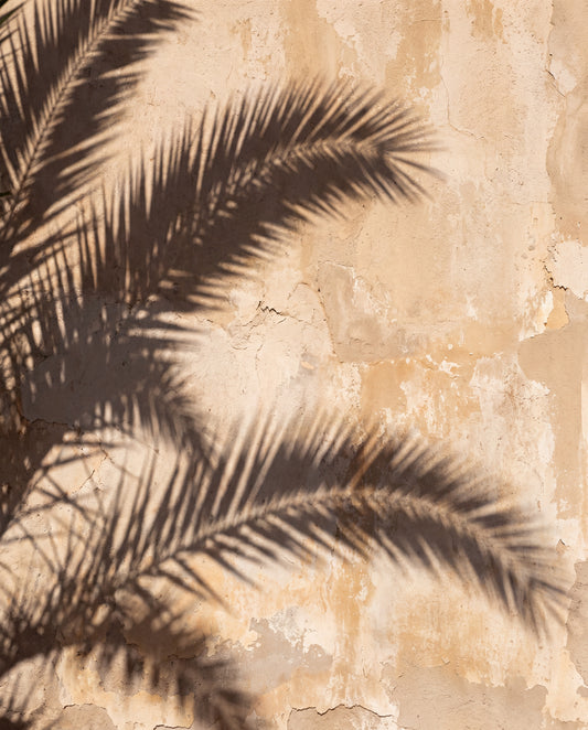 Palmsskuggor