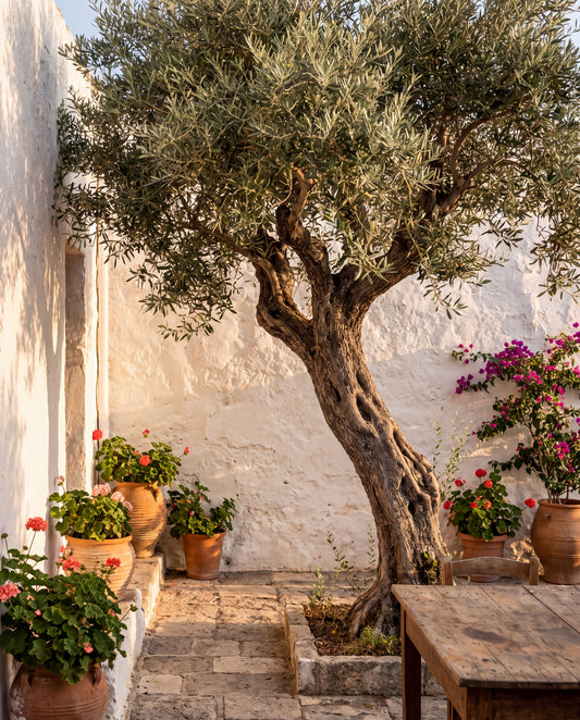 Olivgården