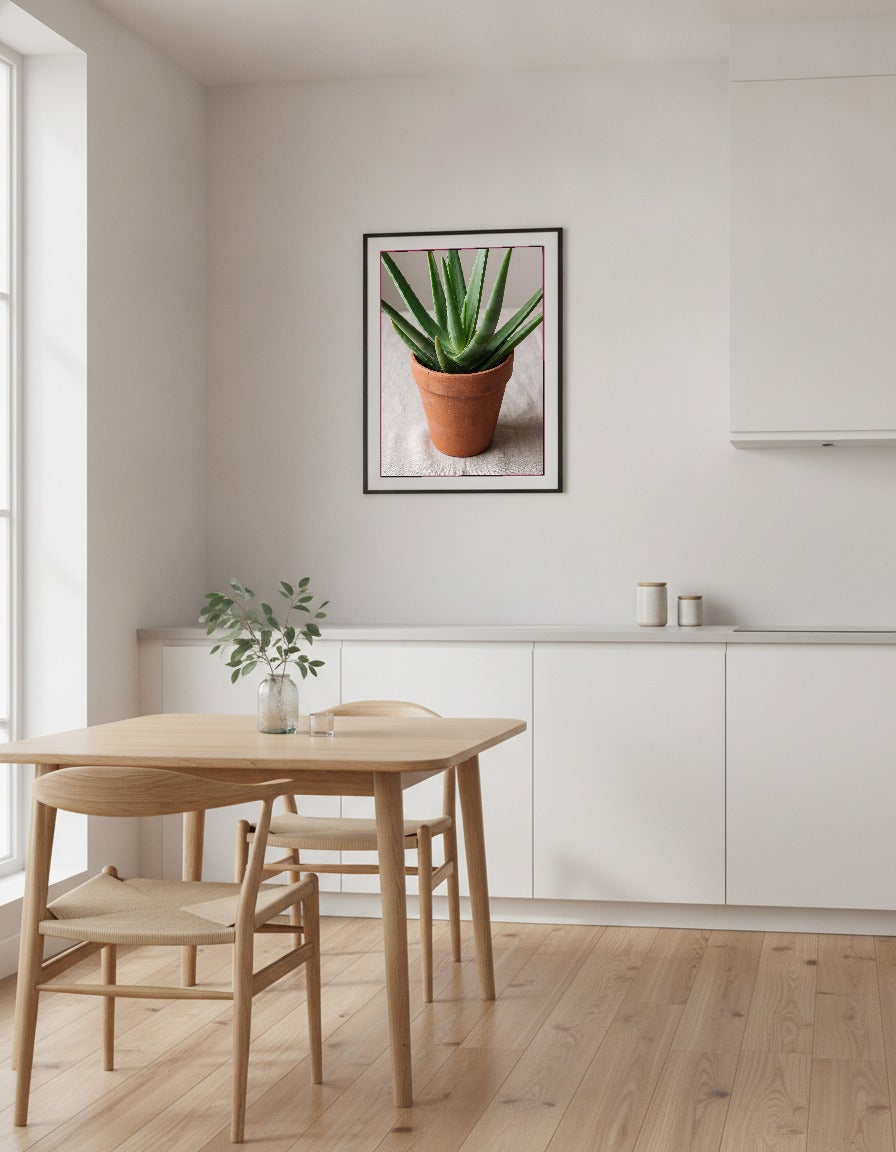 Aloe vera i köket