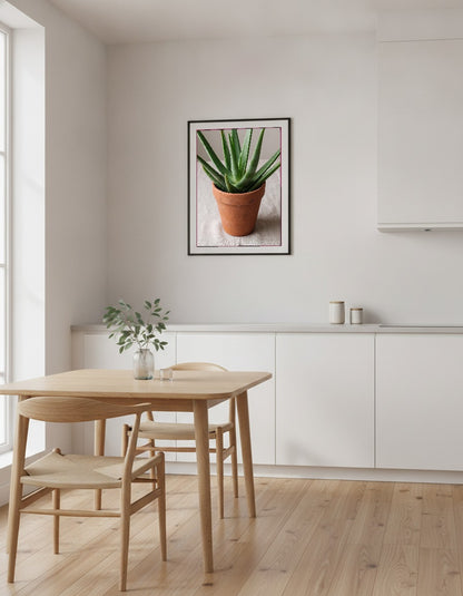 Aloe vera i köket