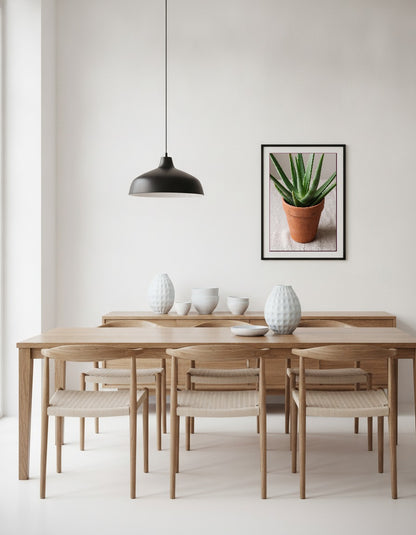 Aloe vera i matsalen