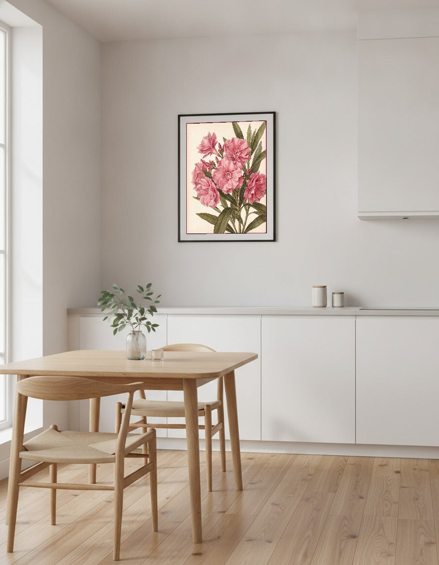 Oleander i köket