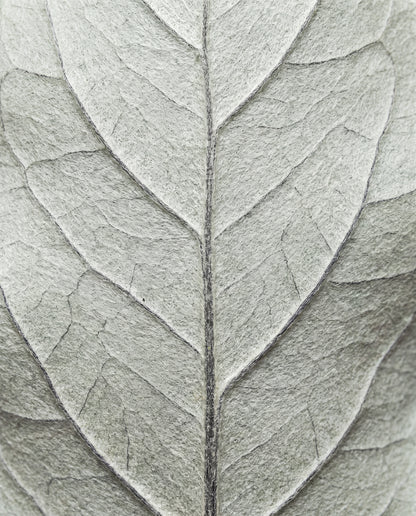 Blad i närbild