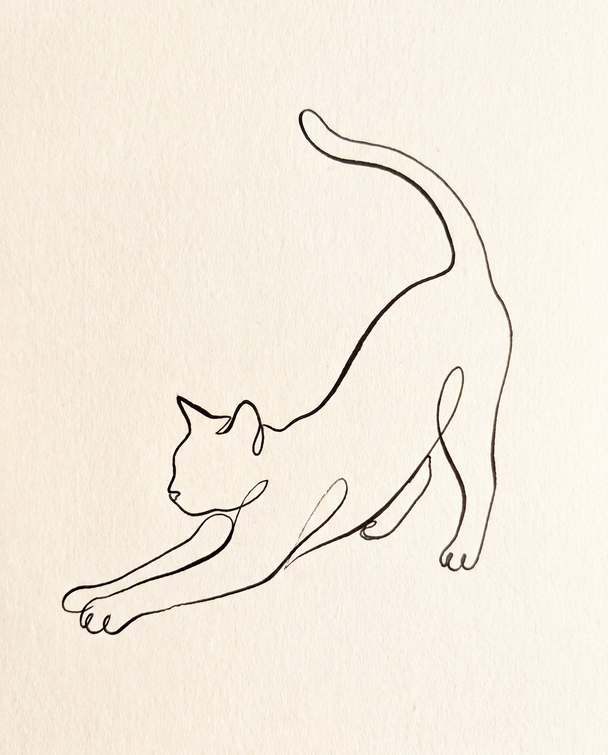 Sträckande katt i en linje