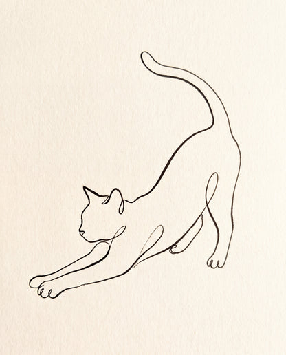 Sträckande katt i en linje