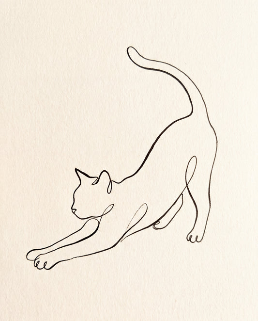 Sträckande katt i en linje