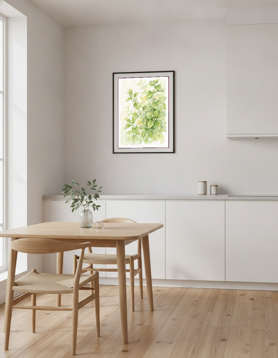 Citronmeliss i akvarell i köket