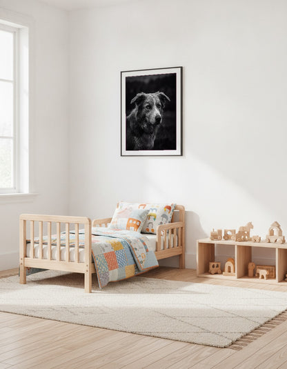 Border collie i svartvitt i barnrummet