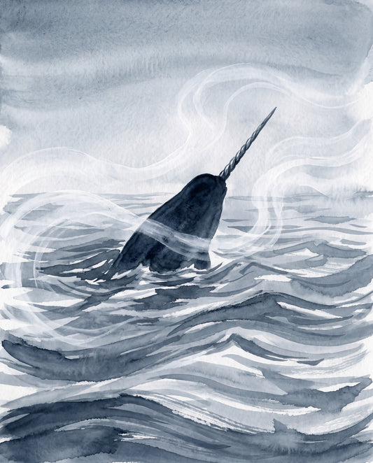 Narval i arktiskt vatten