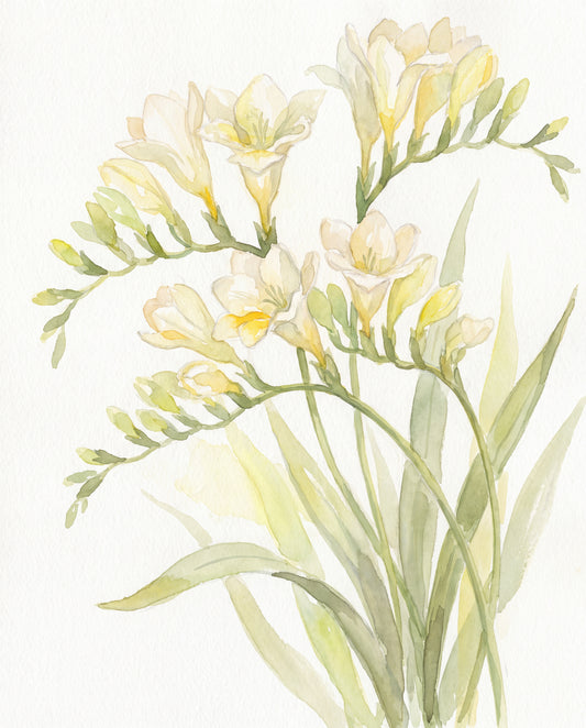 Freesia i akvarell