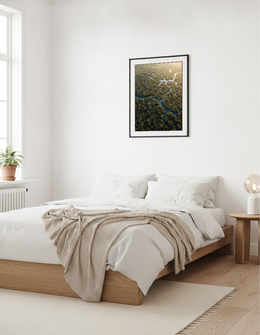 Mangroveskog från ovan i sovrummet