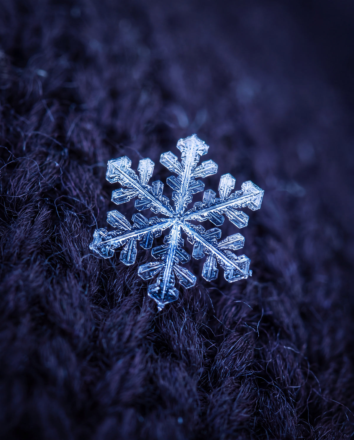 Snöflinga i makro
