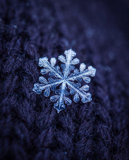 Snöflinga i makro