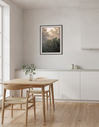 Vinrankor i morgondimma i köket