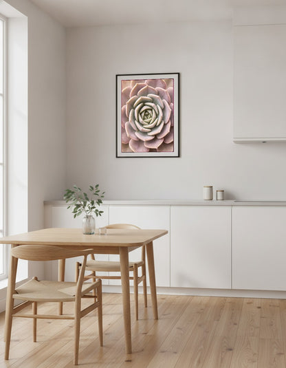 Suckulentrosett i pastell i köket