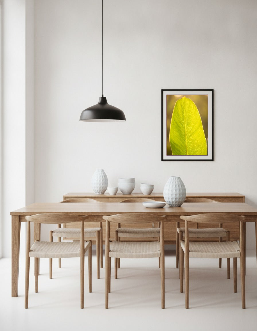 Bananblad i motljus i matsalen