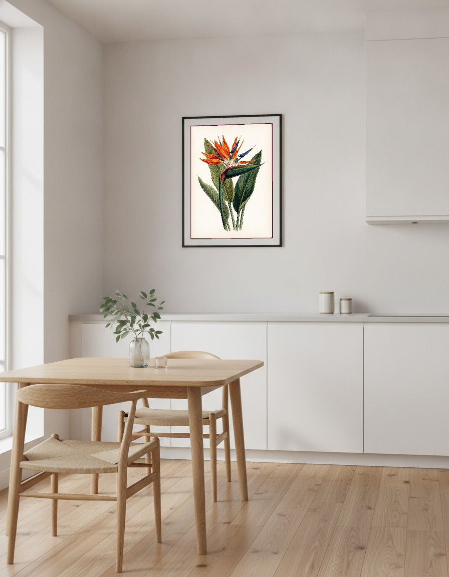 Paradisblomma – botanisk i köket