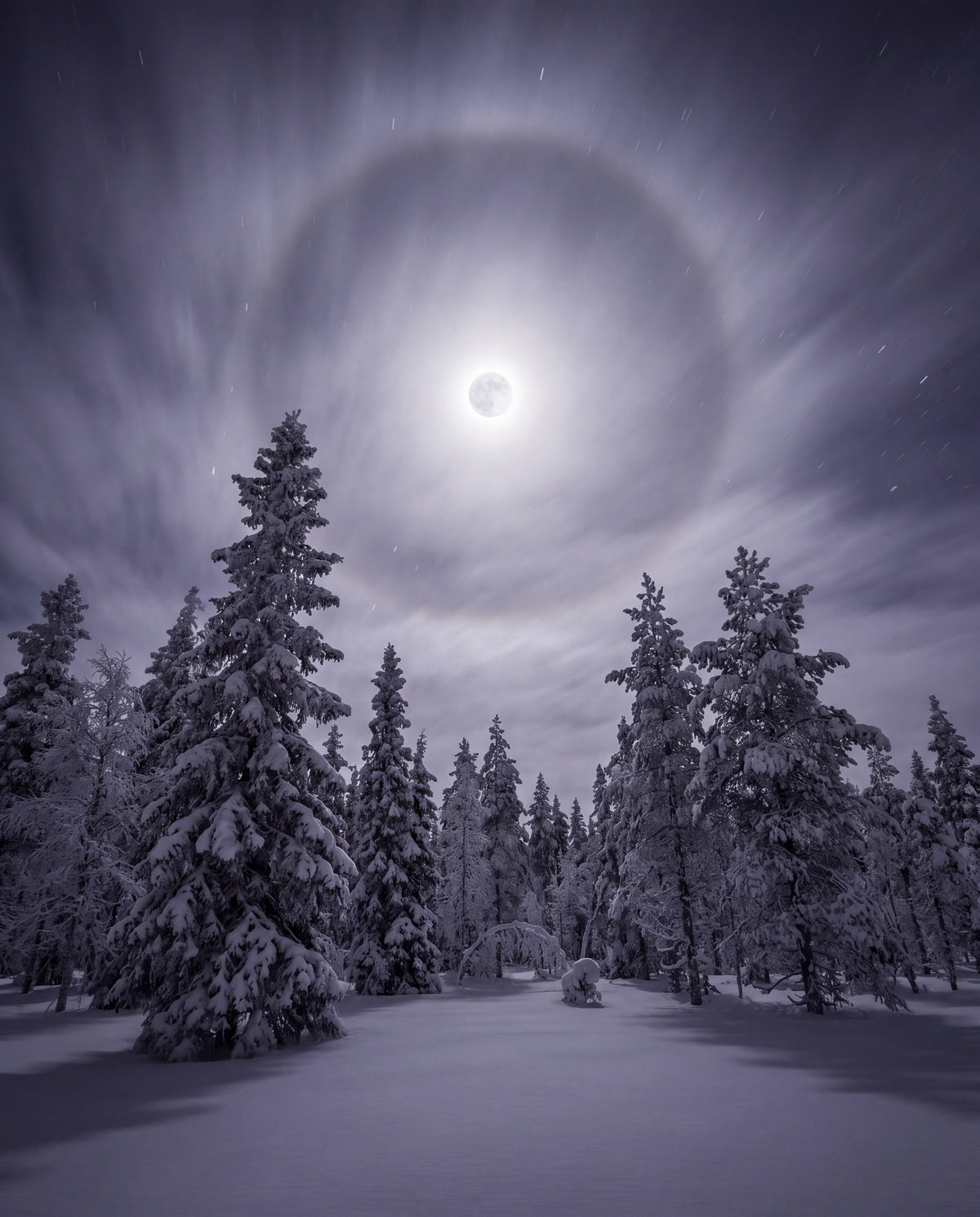 Månljus över snögranar
