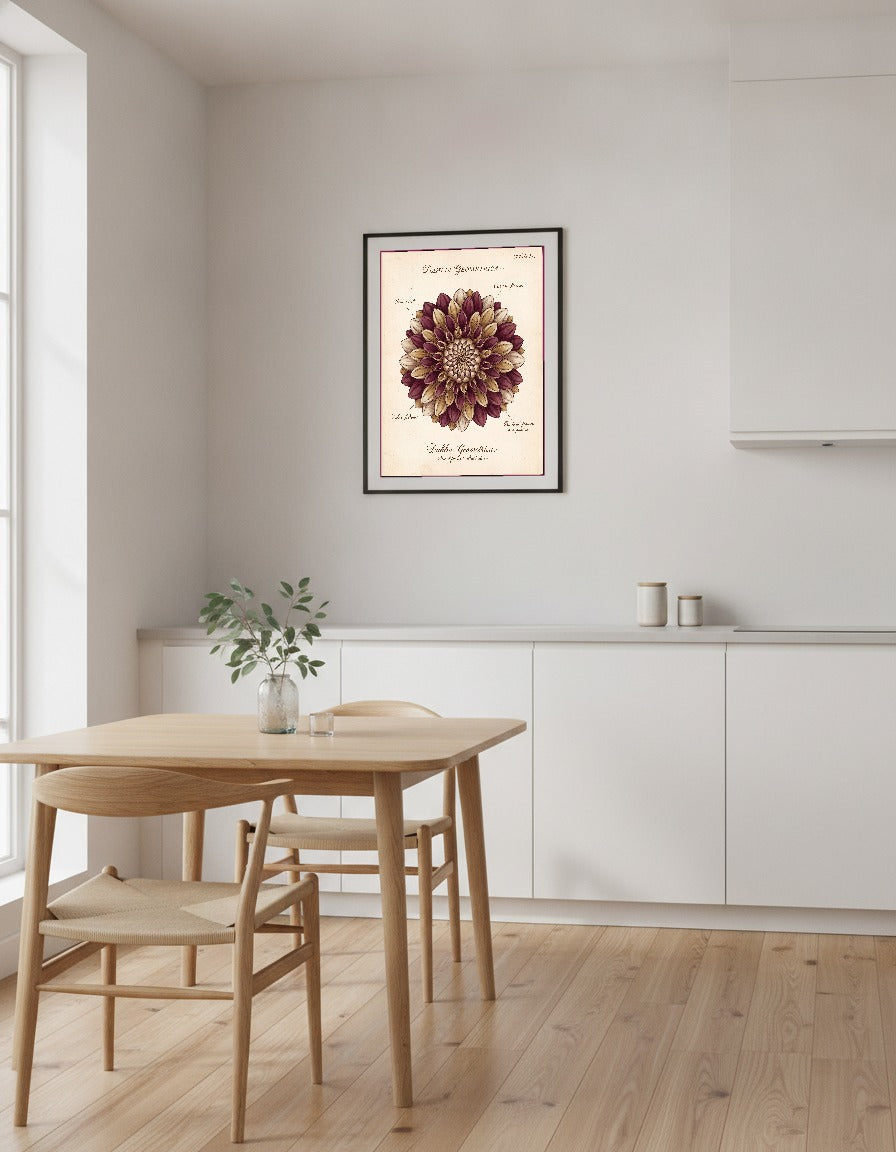 Dahlia Geometrica – botanisk plansch i köket