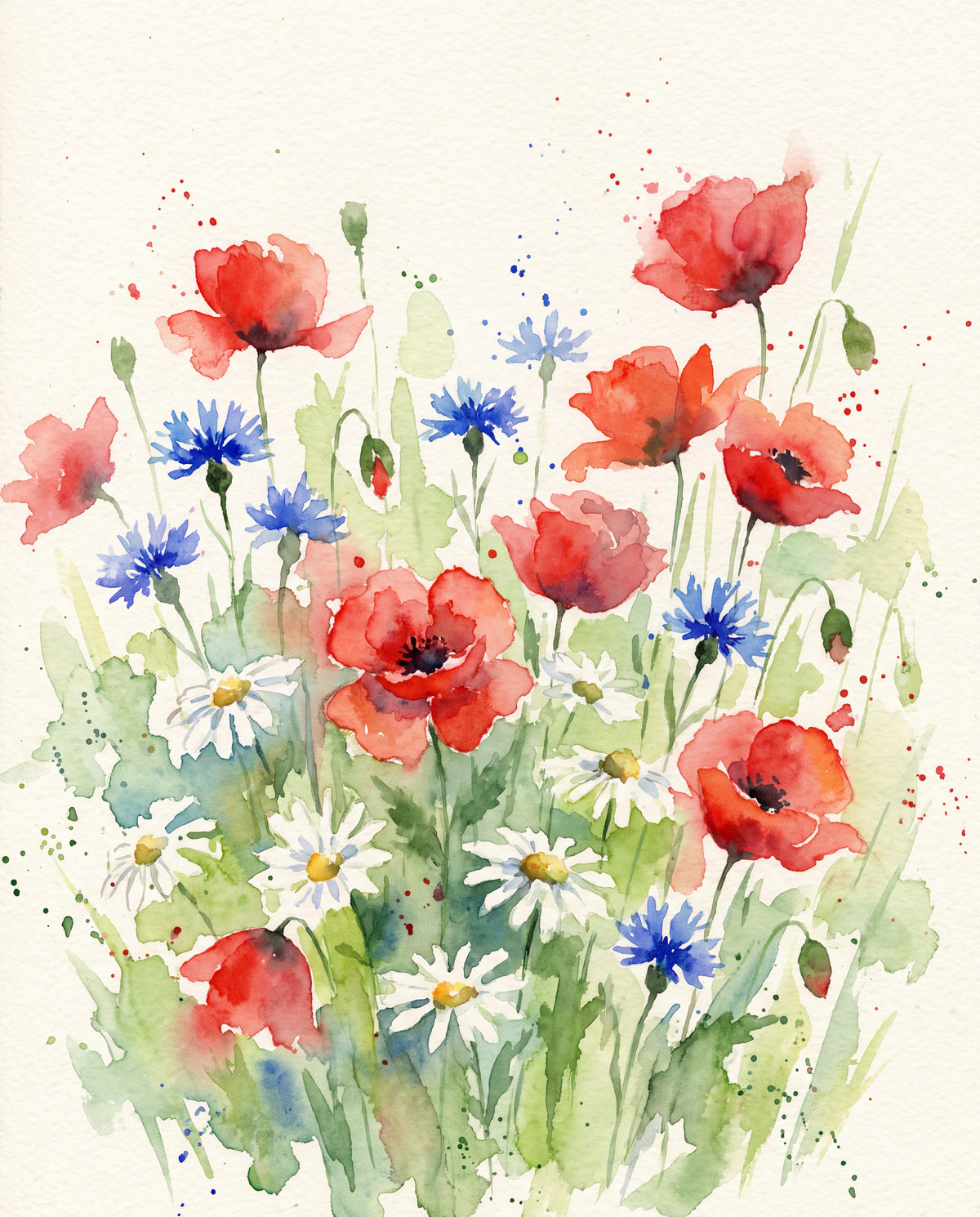 Ängsblommor i akvarell