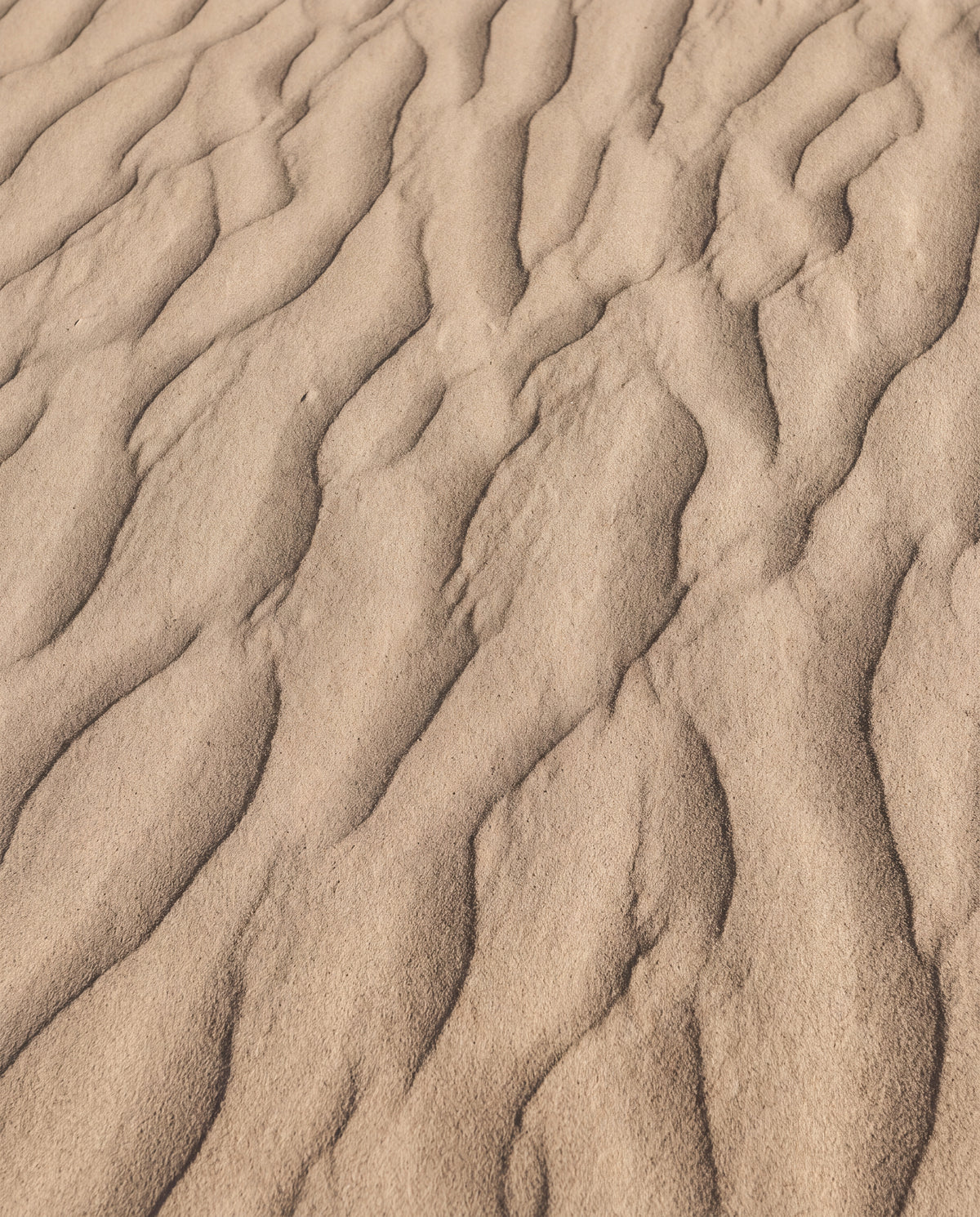 Räfflad sand i varmt beige