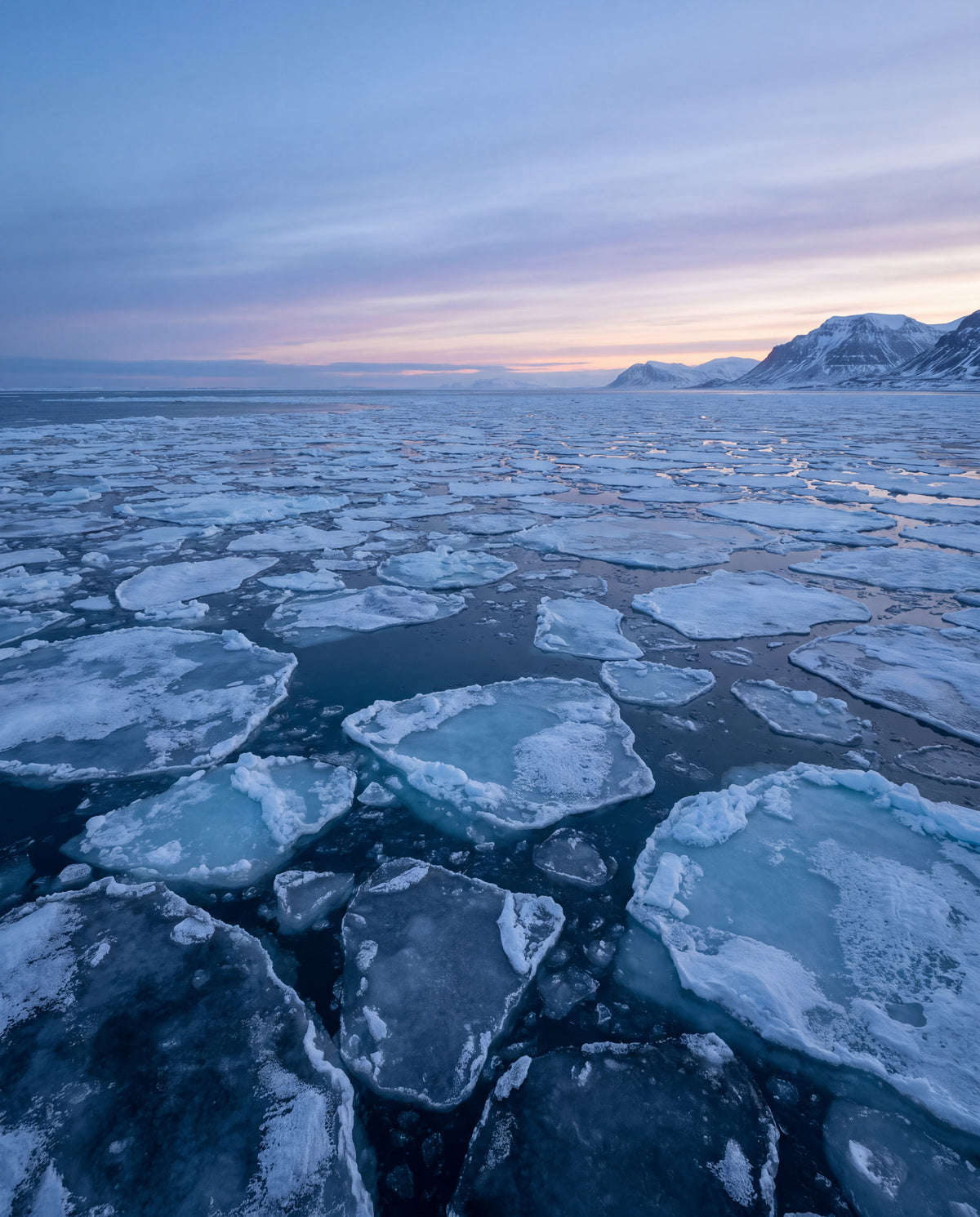 Drivis på Arktiska havet – Svalbard
