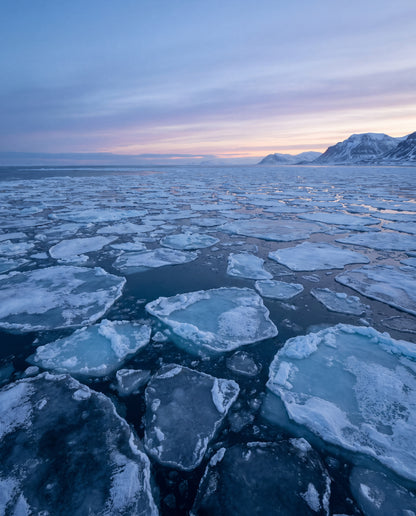 Drivis på Arktiska havet – Svalbard