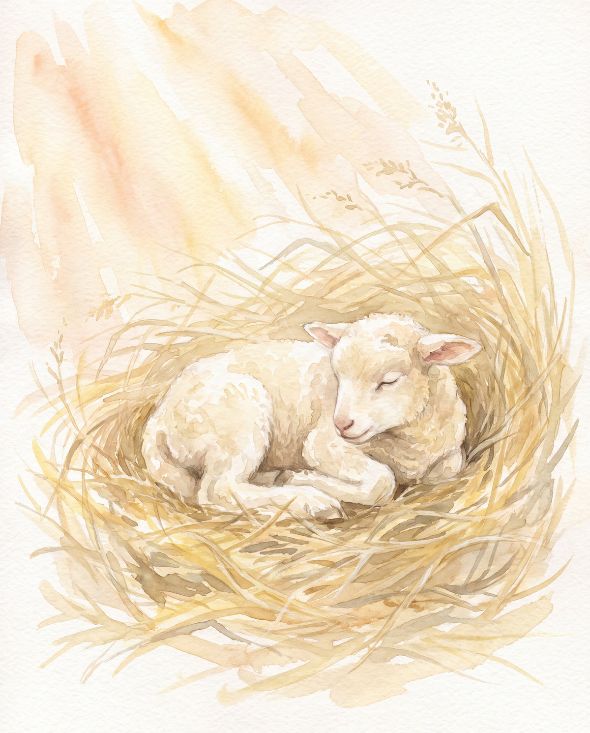 Sovande lamm i hö