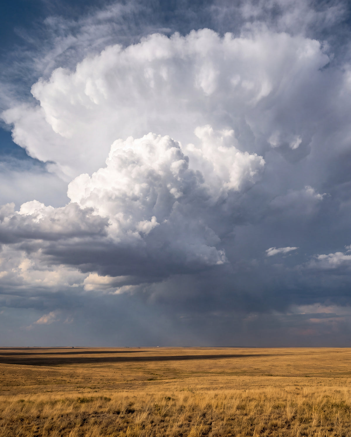 Cumulus över öppen slätt
