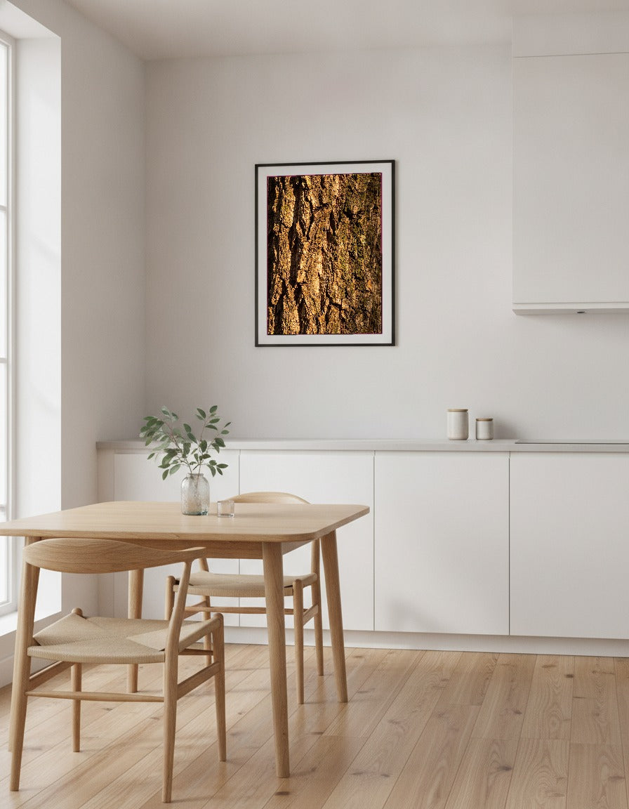 Korkekens bark i makro i köket