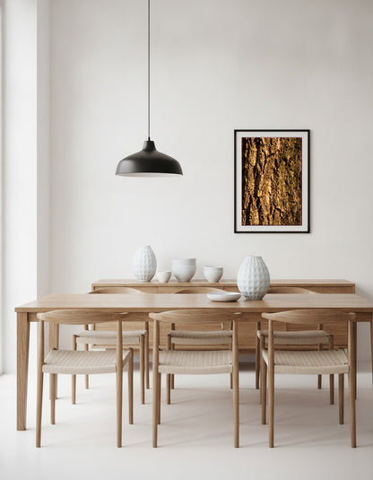 Korkekens bark i makro i matsalen
