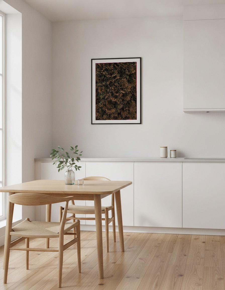 Cypressgrönska i närbild i köket