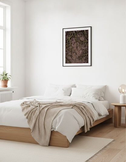 Mangroverötter vid lågvatten i sovrummet