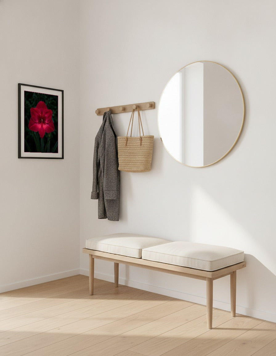 Röd amaryllis mot mörk bakgrund i hallen