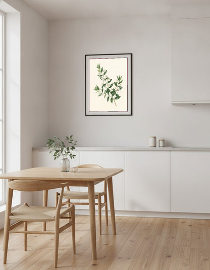 Myrtenkvist med vita blommor i köket