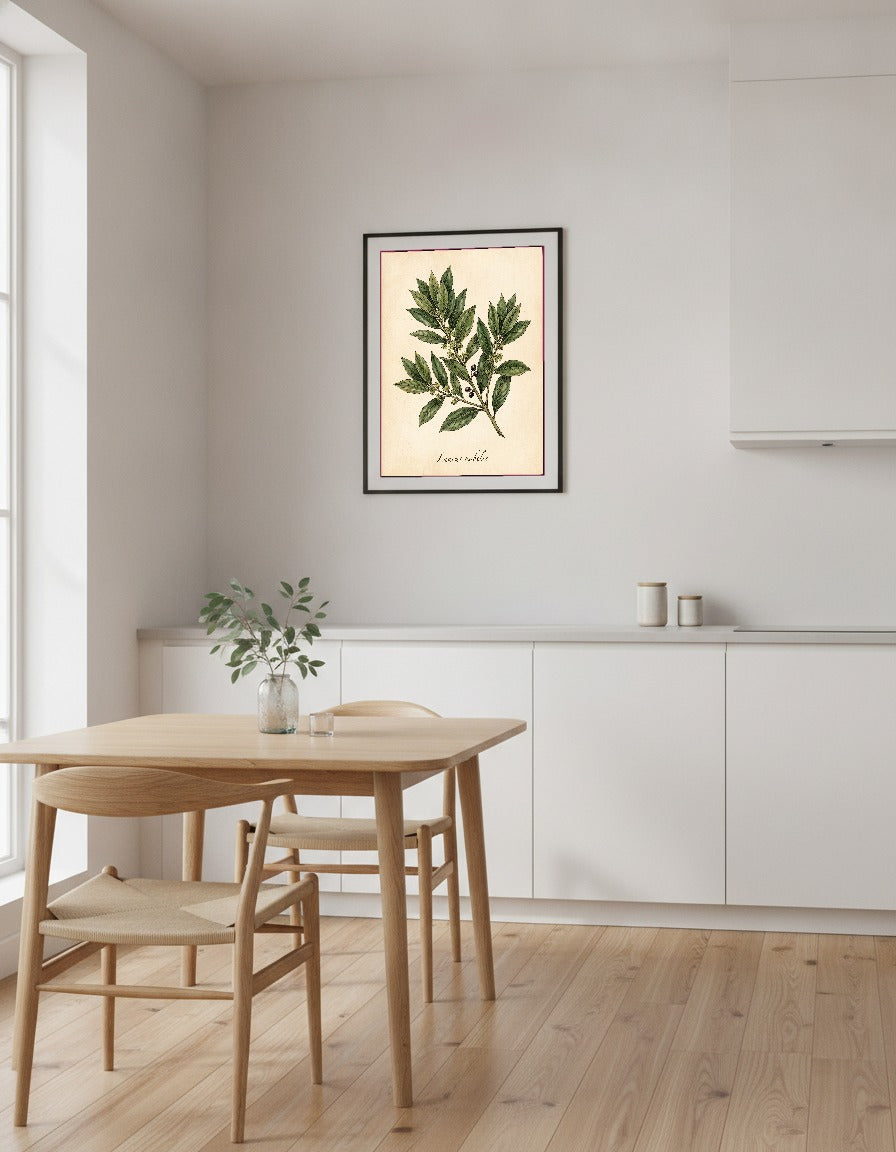Lagerblad – Laurus nobilis i köket
