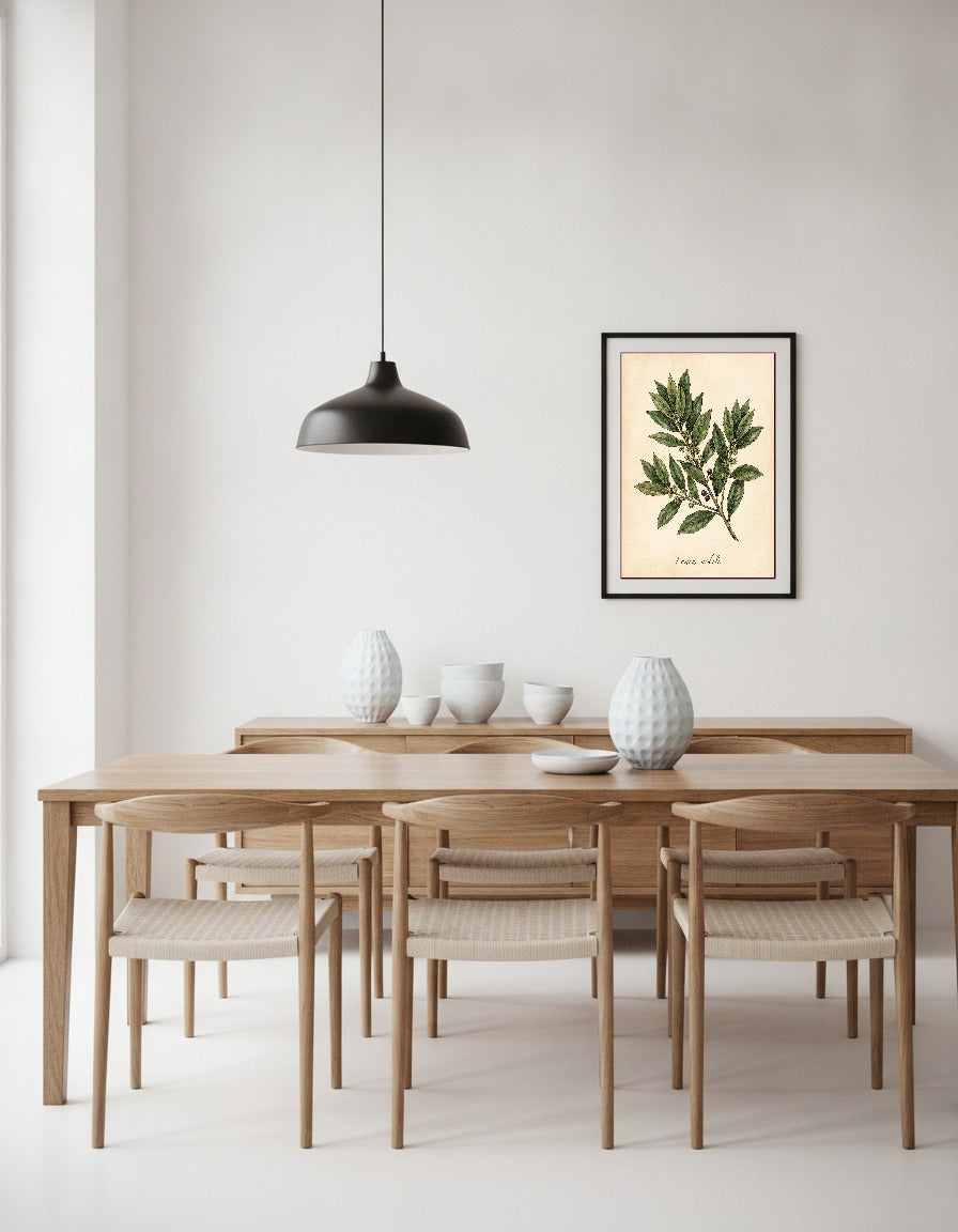 Lagerblad – Laurus nobilis i matsalen