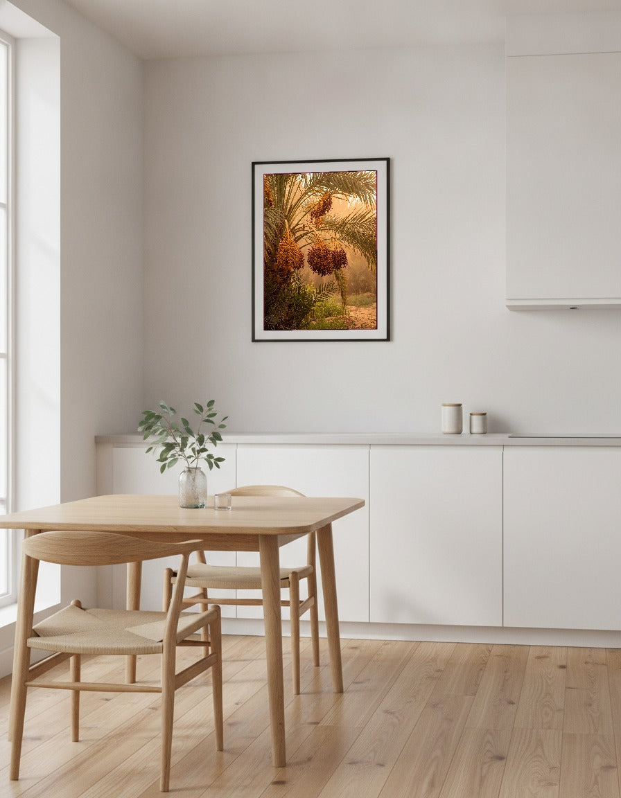 Dadelpalm i oasen i köket