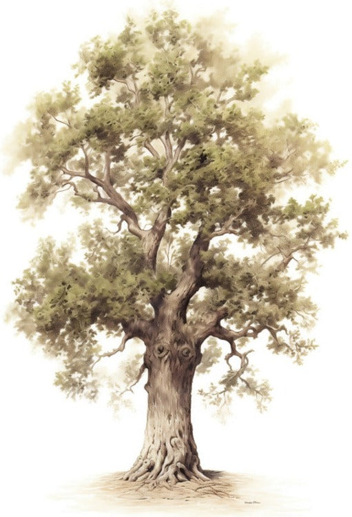 Ek – poster